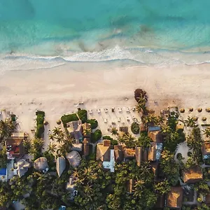 Casa Violeta 3*, Tulum Mexico